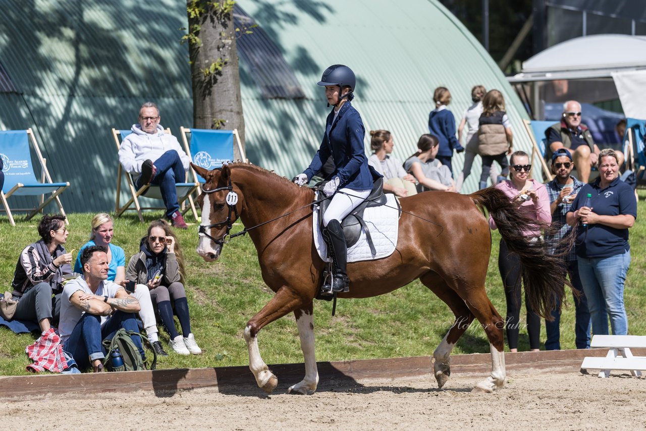 Bild 213 - Pony Akademie Turnier